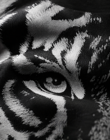 Tiger Gaze Tee