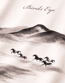 WILD HORSES